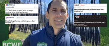 A graphic of BC Wildlife Federation (BCWF) Executive Director Jesse Zeman with screenshots of news articles covering the new fines in BC for illegal hunting and poaching.